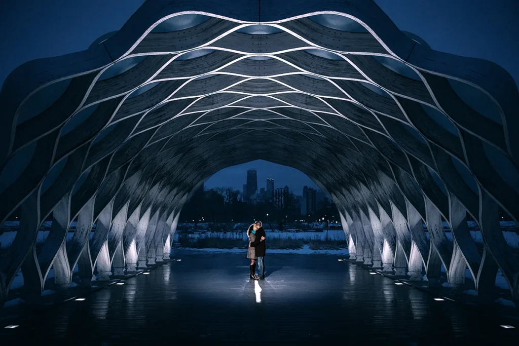 lincoln park engagement photo at night, couple under hone comb cinematic photo