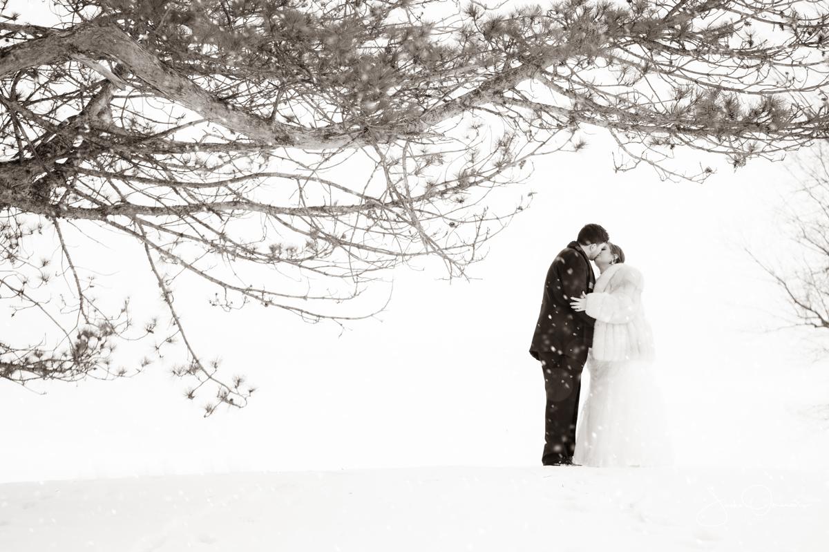 bride and groom kissing on the hill in northbrook